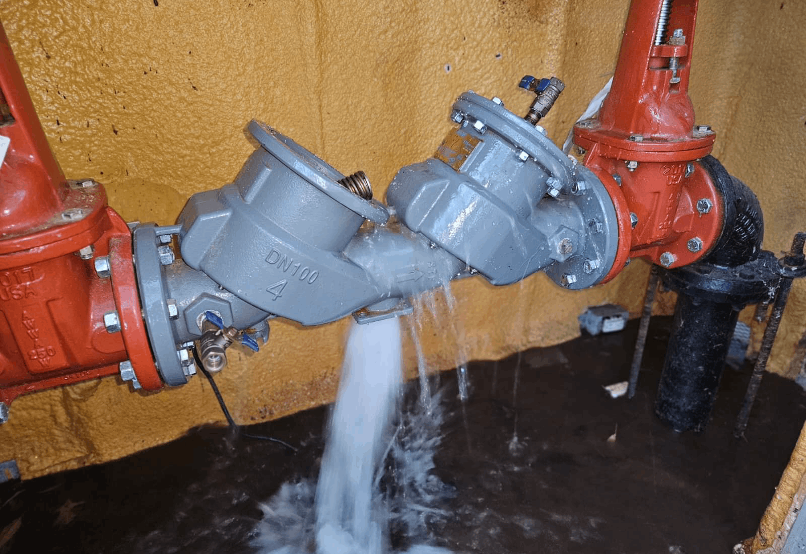 Backflow Testing Apex