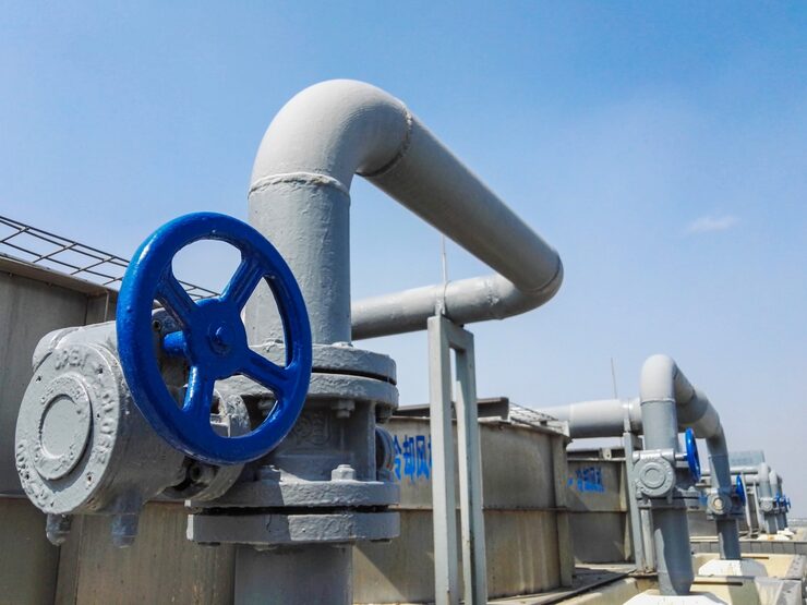 water line backflow preventer